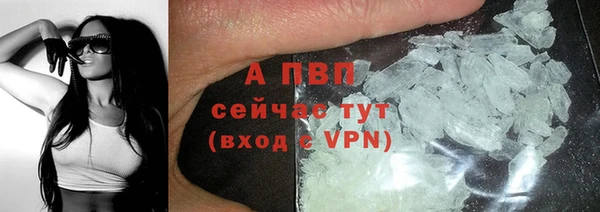 шишки Бердск