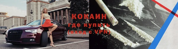 шишки Бердск