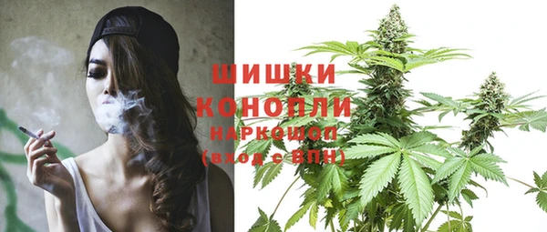 ГАЛЛЮЦИНОГЕННЫЕ ГРИБЫ Братск