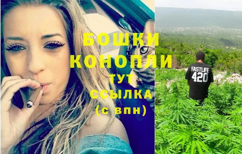 Каннабис SATIVA & INDICA  Бабаево 